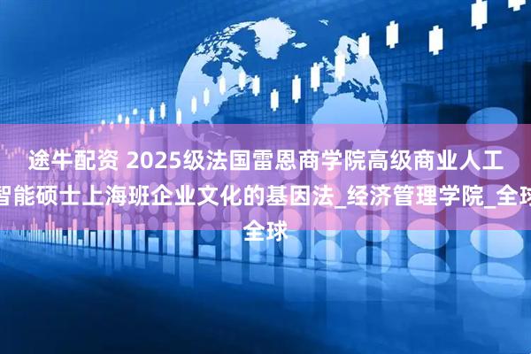 途牛配资 2025级法国雷恩商学院高级商业人工智能硕士上海班企业文化的基因法_经济管理学院_全球