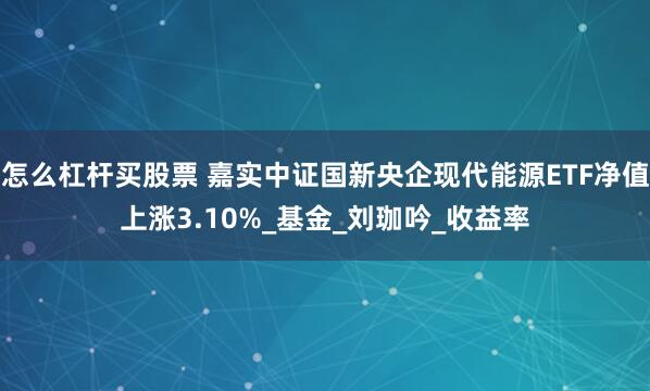 怎么杠杆买股票 嘉实中证国新央企现代能源ETF净值上涨3.10%_基金_刘珈吟_收益率