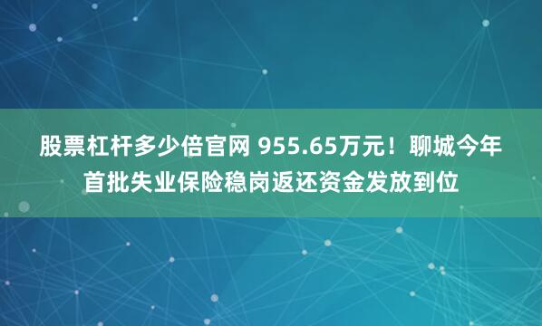 股票杠杆多少倍官网 955.65万元！聊城今年首批失业保险稳岗返还资金发放到位