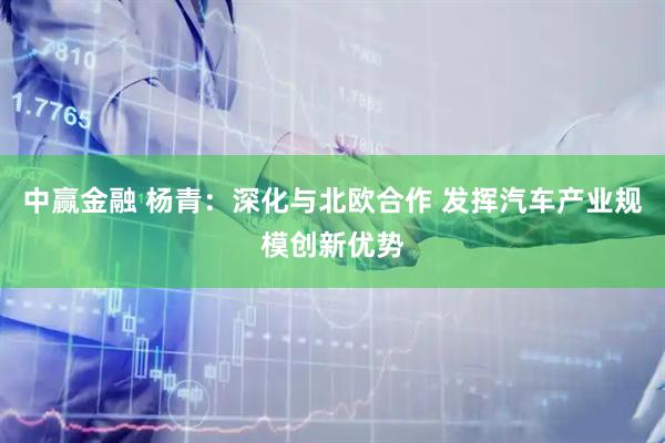 中赢金融 杨青:深化与北欧合作 发挥汽车产业规模创新优势
