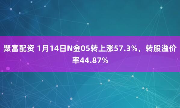 聚富配资 1月14日N金05转上涨57.3%，转股溢价率44.87%