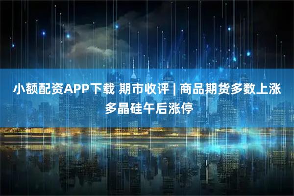 小额配资APP下载 期市收评 | 商品期货多数上涨 多晶硅午后涨停