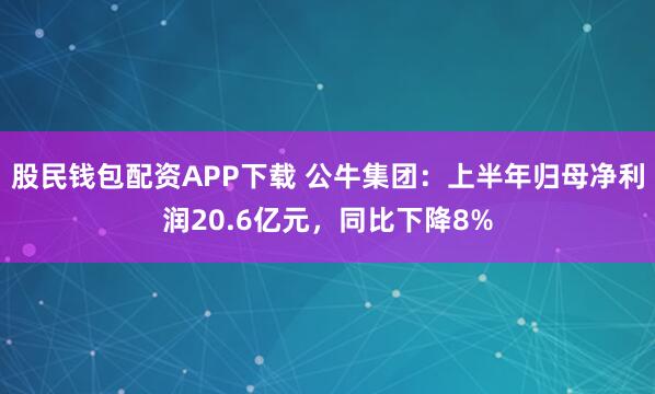 股民钱包配资APP下载 公牛集团：上半年归母净利润20.6亿元，同比下降8%